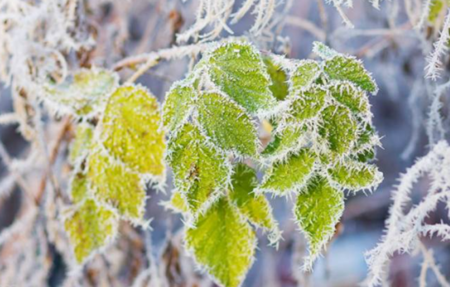 Наближаються сильні заморозки: чи готові дороги Києва до зими