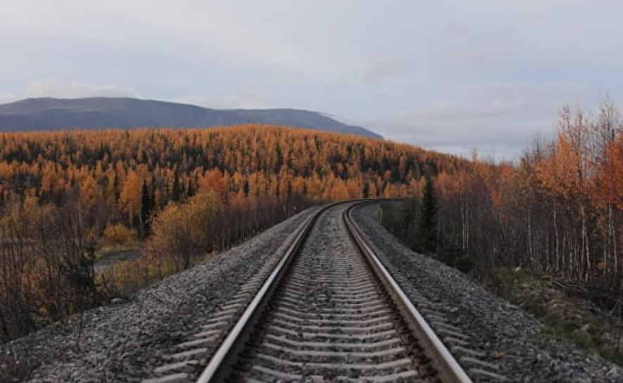 Лідер залізничних перевезень: у Києві завоював популярність новий міжнародний потяг