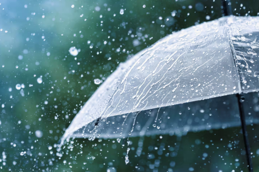 Туман, дощ, сніг: на Київ та область наближається негода