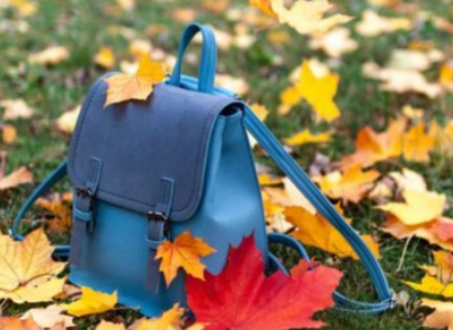 Школи Києва частково закриваються: коли почнуться осінні канікули