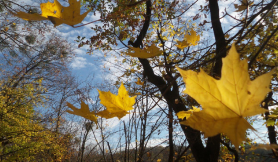 Потужний ураган охопить всю Україну: застереження синоптиків