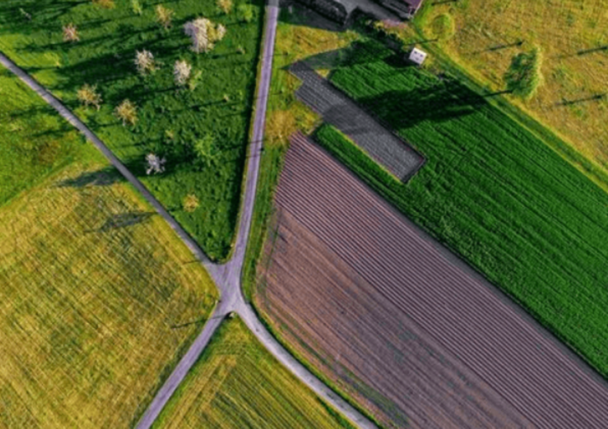 “Безкоштовна” земля на Київщині: поліція розкрила аферу банди злочинців