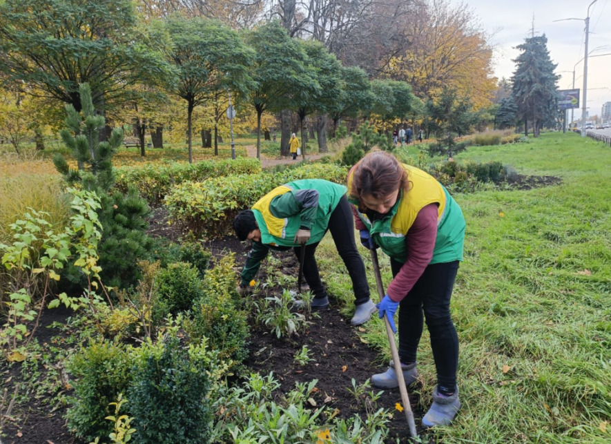 Краса осені “оживає” на очах: що зараз роблять фахівці “Київзеленбуд”, – ФОТО