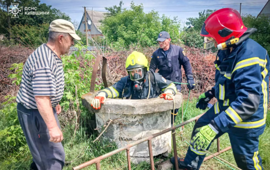 На Київщині козеня опинилось у водяній пастці: як його врятували, – ФОТО На Київщині козеня опинилось у водяній пастці: як його врятували, – ФОТО