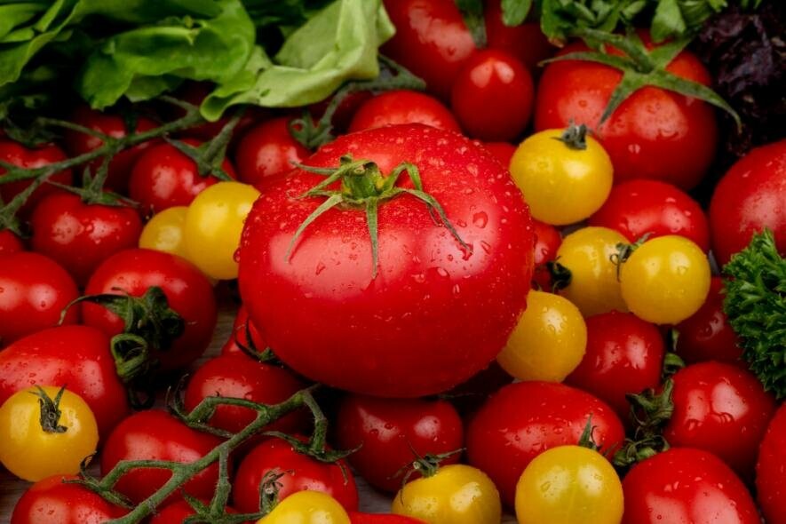 Цей копійчаний засіб захистить томати від фітофторозу і подарує щедрий врожай: всього 2 літра під кущ