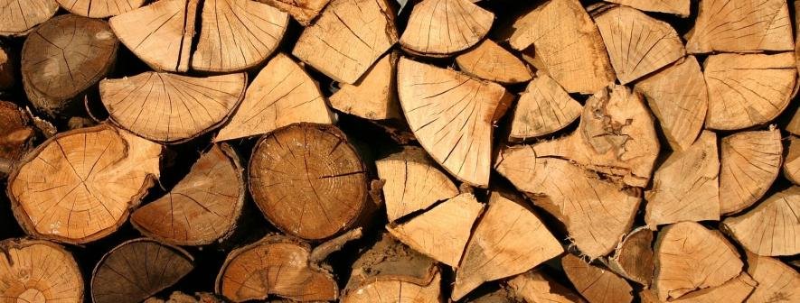 На Київщині можна буде отримати безкоштовно дрова на осінь та зиму: що для цього потрібно