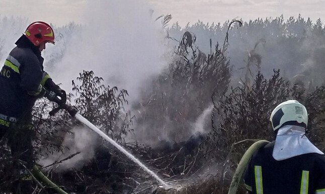 На Київщині горіло сміттєзвалище: подробиці