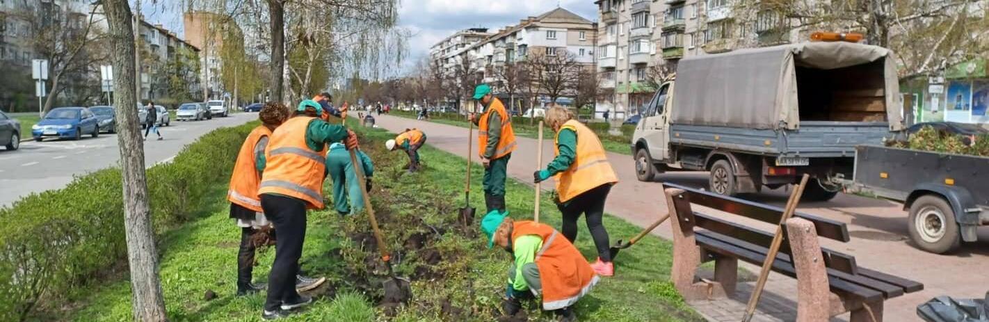 В Дніпровському районі Києва висадили сотні троянд, - ФОТО