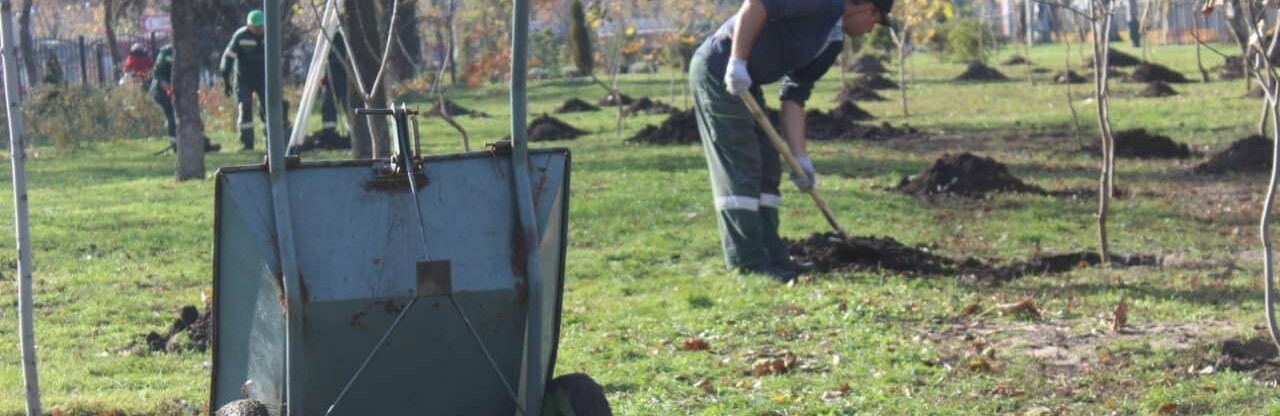 У столичному парку на Дарниці, де раніше був стихійний ринок, висадили екзотичні рослини, – ФОТО