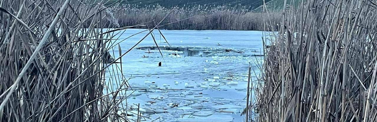 Трьох врятували, пошуки четвертого тривають: на Київщині рибалки знову опинились під кригою, – ФОТО, ВІДЕО