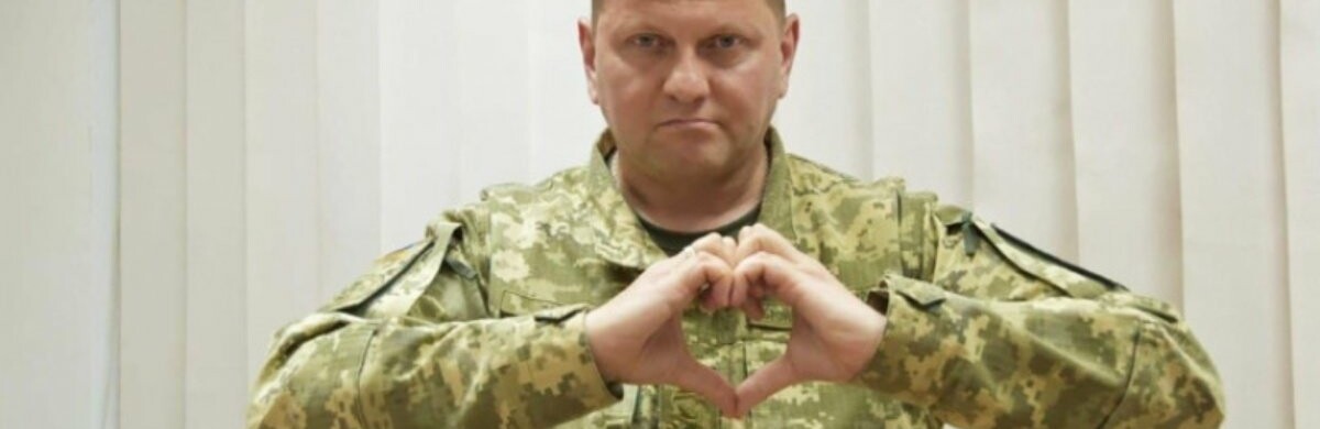 На Київщині дівчинка подарувала Валерію Залужному портрет, - ФОТО