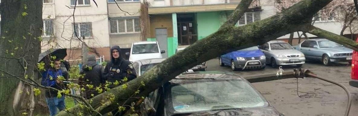 Коротка гроза встигла заподіяти шкоди у Києві: повалені дерева, розбиті авто та гараж, – ФОТО