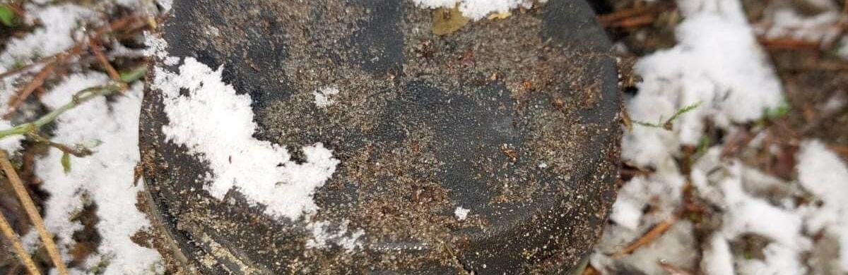 У Київській області біля кордону з Білоруссю чоловік підірвався на ворожій міні, – ФОТО
