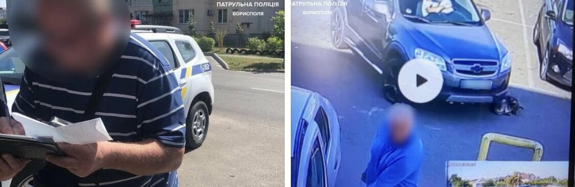 Переїхав безпритульного собаку та залишив тварину: на Київщини розшукали зловмисника, – ФОТО