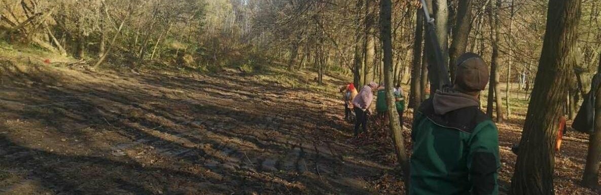 У Голосіївському парку Києва створюють майданчик для вигулу собак, – ФОТО