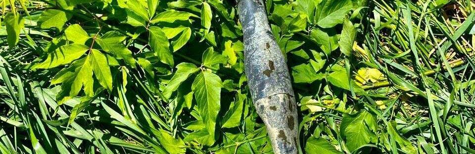 На Київщині чоловік витягнув з озера боєприпас, - ФОТО