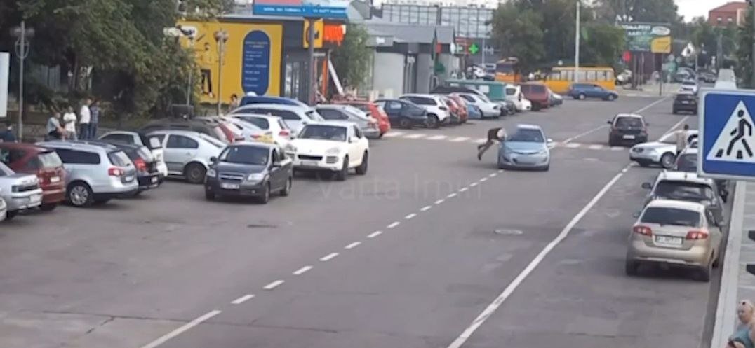 На Київщині чоловік кинувся під колеса авто: момент потрапив на відео