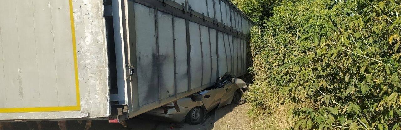 Смертельна ДТП на Київщині: фура з тваринами розчавила легковик, - ФОТО
