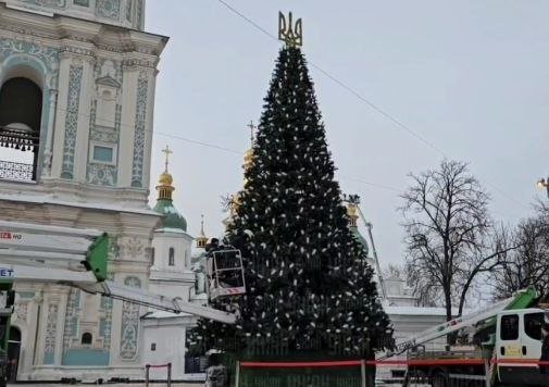 У Києві почали прикрашати головну ялинку країни: як вона виглядає, - ВІДЕО