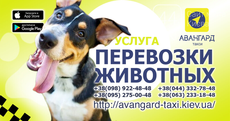 Дешевое такси киев