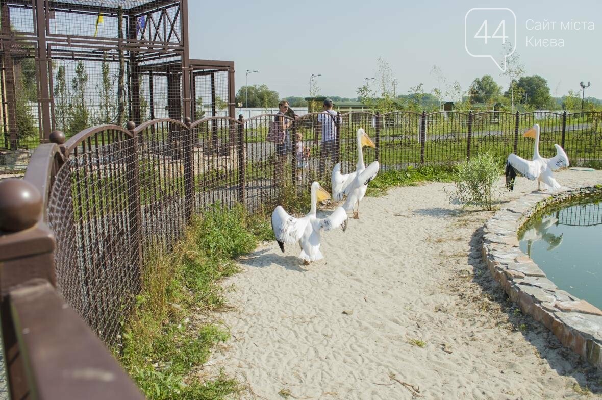 Вояж по зоопарку “12 месяцев”: экзотические животные, боль..., фото-14 Вояж по зоопарку “12 месяцев”: экзотические животные, большой бассейн и сказочный дворец, фото-14