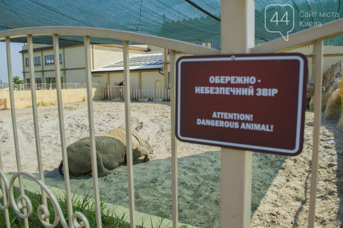 Вояж по зоопарку “12 месяцев”: экзотические животные, боль..., фото-25 Вояж по зоопарку “12 месяцев”: экзотические животные, большой бассейн и сказочный дворец, фото-25