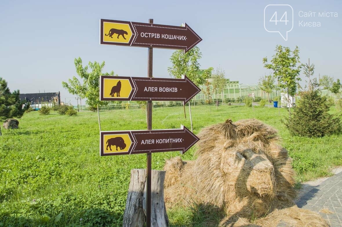Вояж по зоопарку “12 месяцев”: экзотические животные, больш..., фото-1 Вояж по зоопарку “12 месяцев”: экзотические животные, большой бассейн и сказочный дворец, фото-1