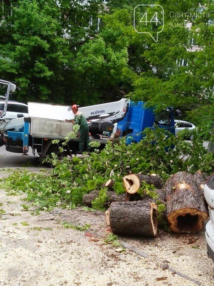 Фото Киевзеленстроя