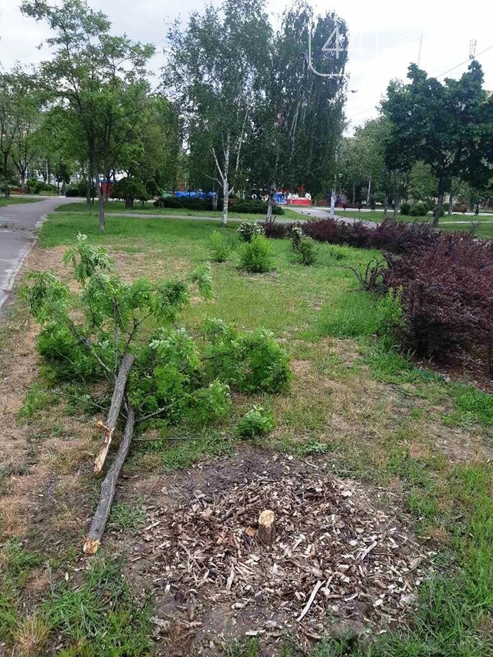 Фото Киевзеленстроя