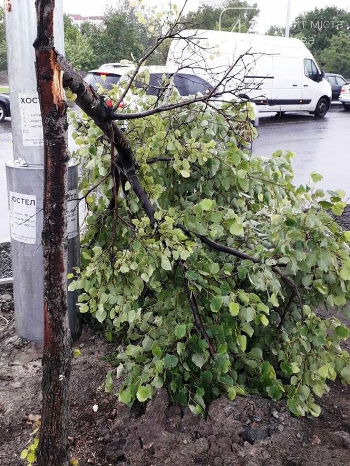 Фото Киевзеленстроя