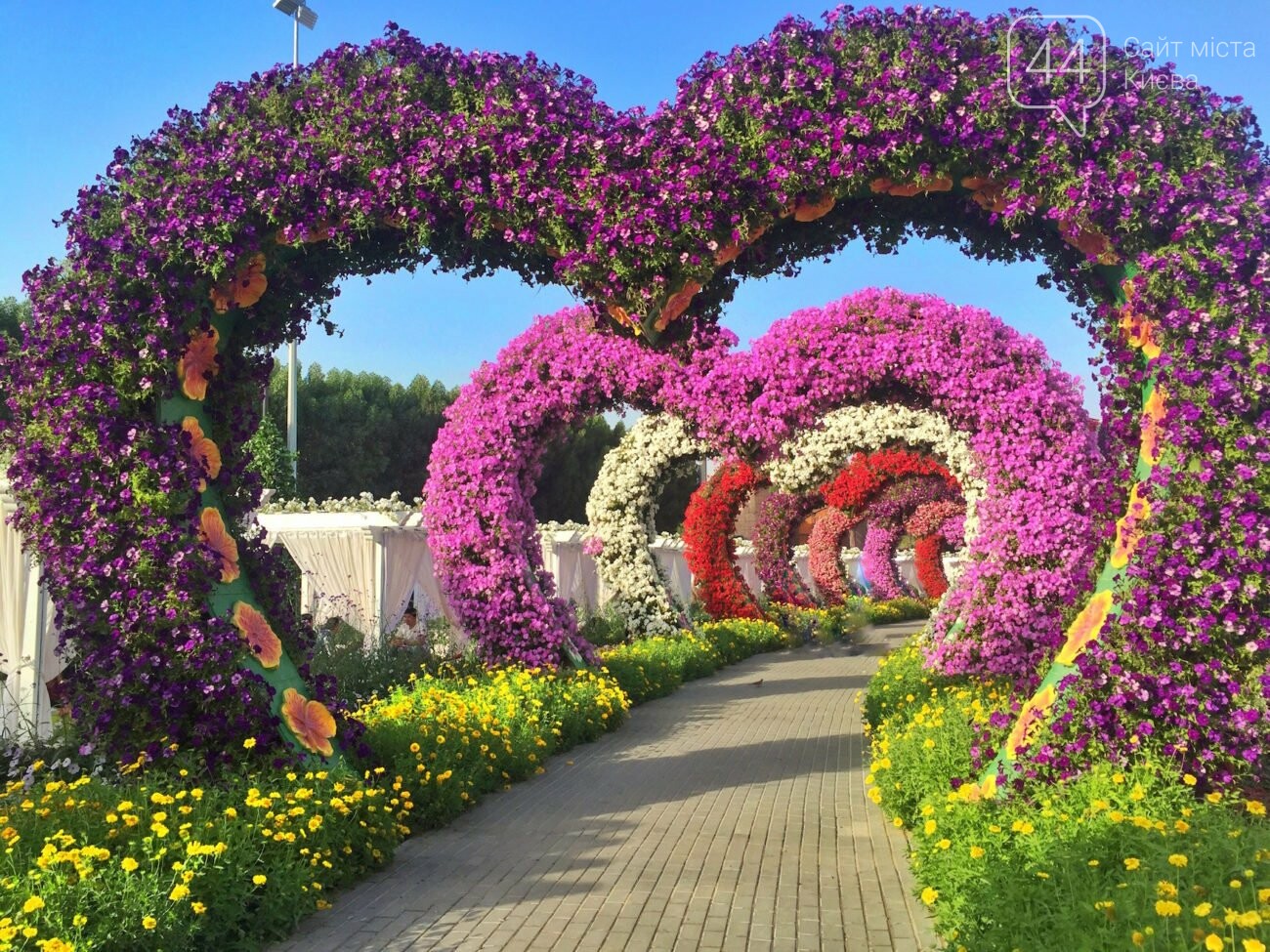 Dubai Miracle Garden, Фото с открытых источников