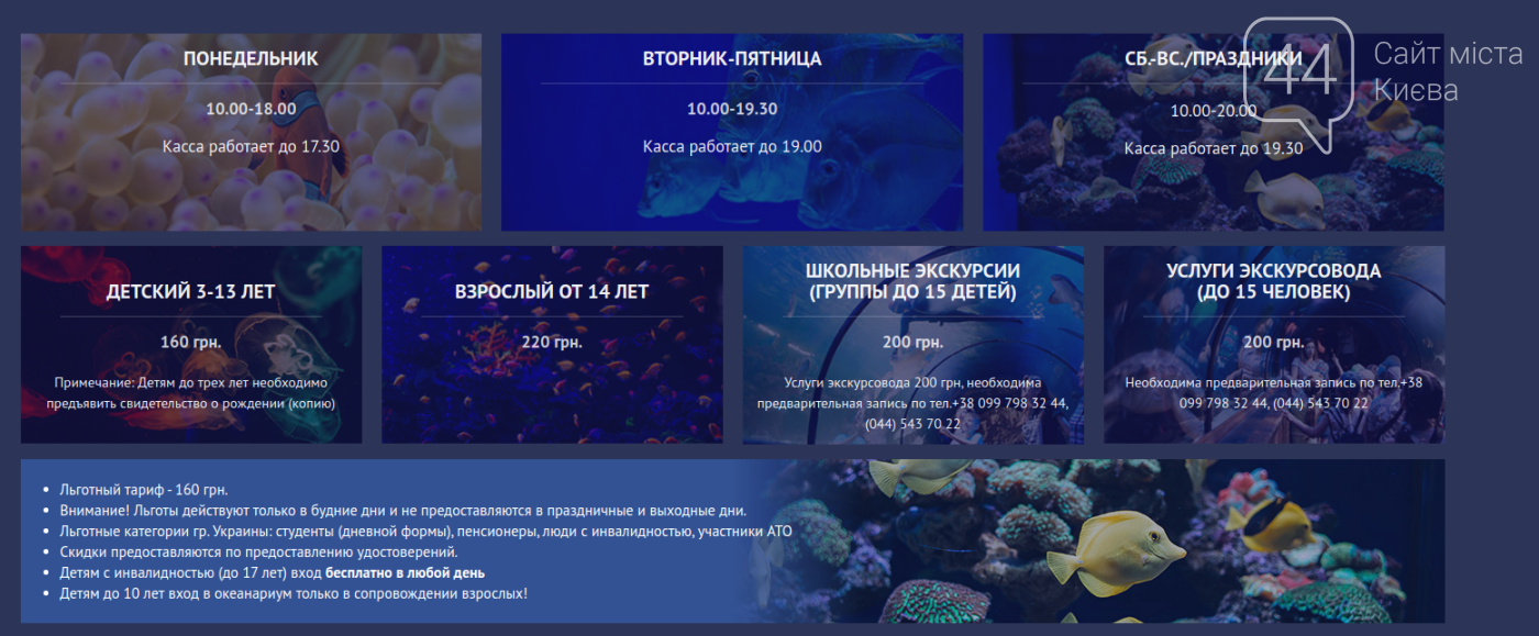 Океанариум Киев: почему стоит посетить и как к нему доехать. Океанариум Киев: почему стоит посетить и как к нему доехать., Фото: скриншот