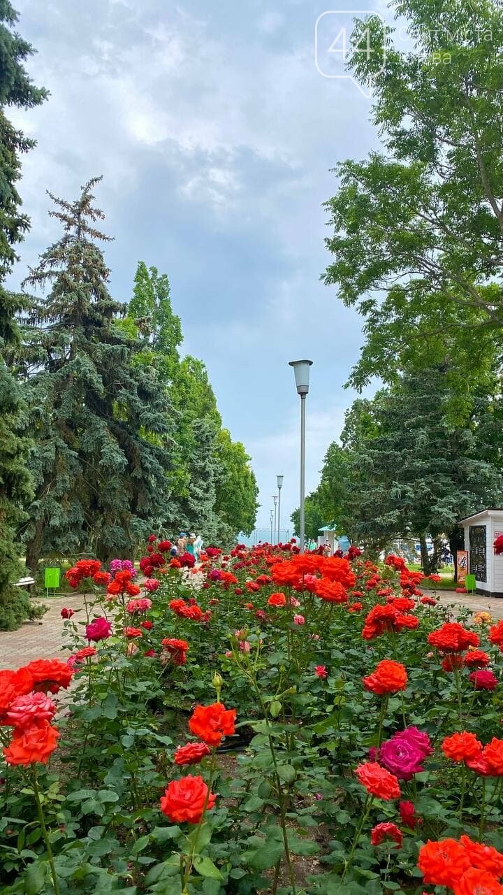 Настоящий летний отдых на Азовском море в пансионате «Доро..., фото-8 Настоящий летний отдых на Азовском море в пансионате «Дорожник», фото-8