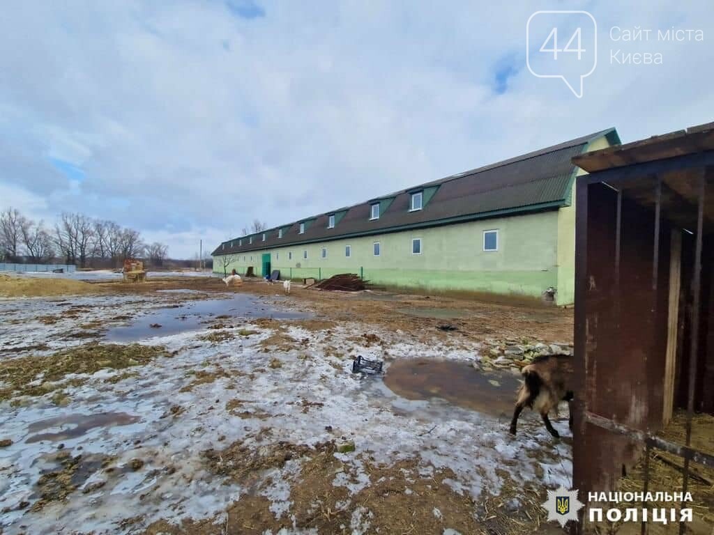 Надійшло повідомлення про ймовірне жорстоке поводження з тваринами
