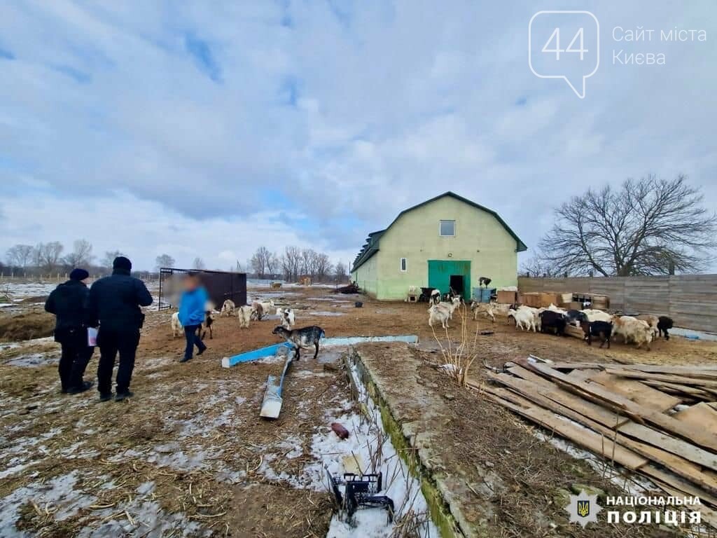 Надійшло повідомлення про ймовірне жорстоке поводження з тваринами