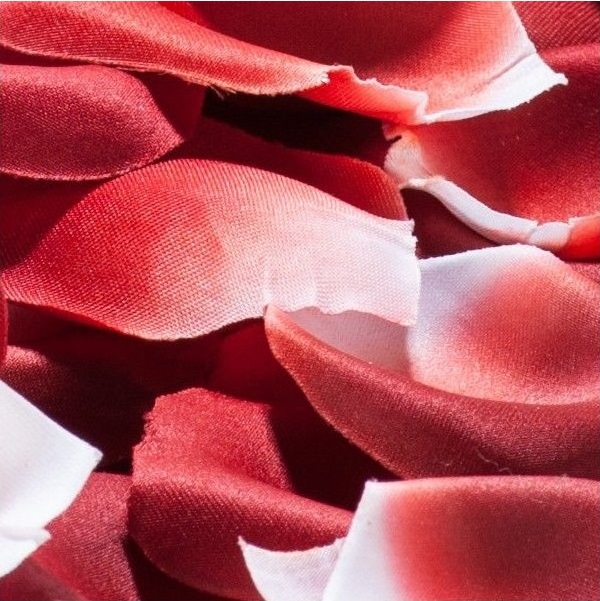 Ароматизовані пелюстки троянд ROSE PETAL EXPLOSION від Bijoux Indiscrets - Зображення 2