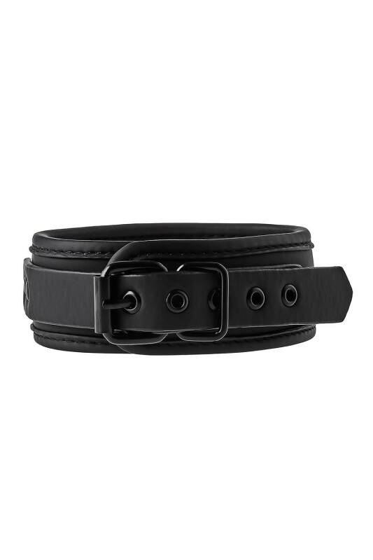 Нашийник з повідцем BLAZE COLLAR AND CHAIN BLACK - Зображення 3