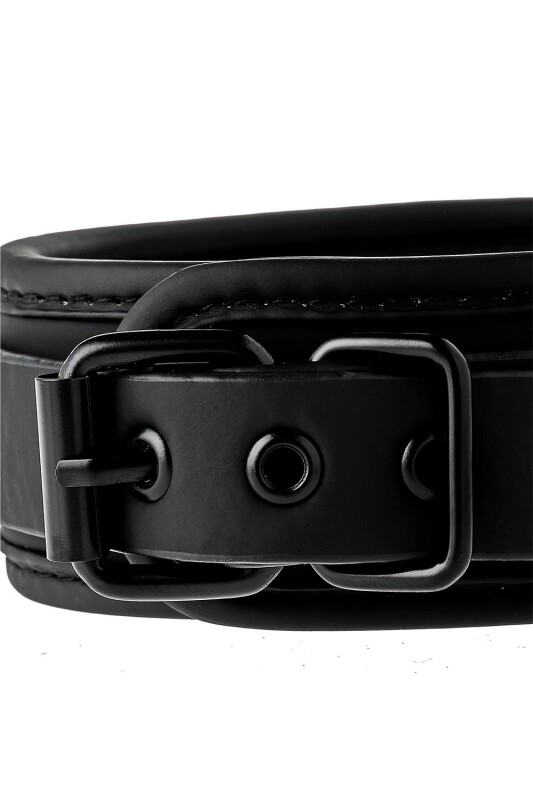 Нашийник з повідцем BLAZE COLLAR AND CHAIN BLACK - Зображення 6