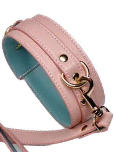 Нашийник з повідцем Fetish Collar with leash рожевий - Зображення 1