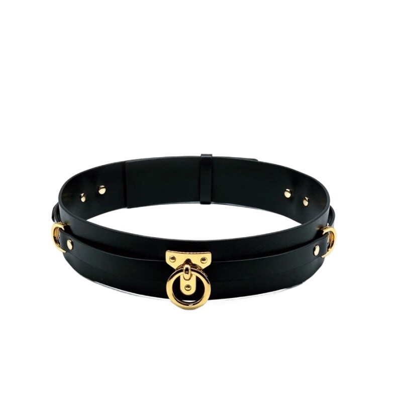 Нашийник-чокер з кільцем, італійська шкіра Leather Cosplay Choker UPKO, для чоловіків, розмір L - Зображення 1
