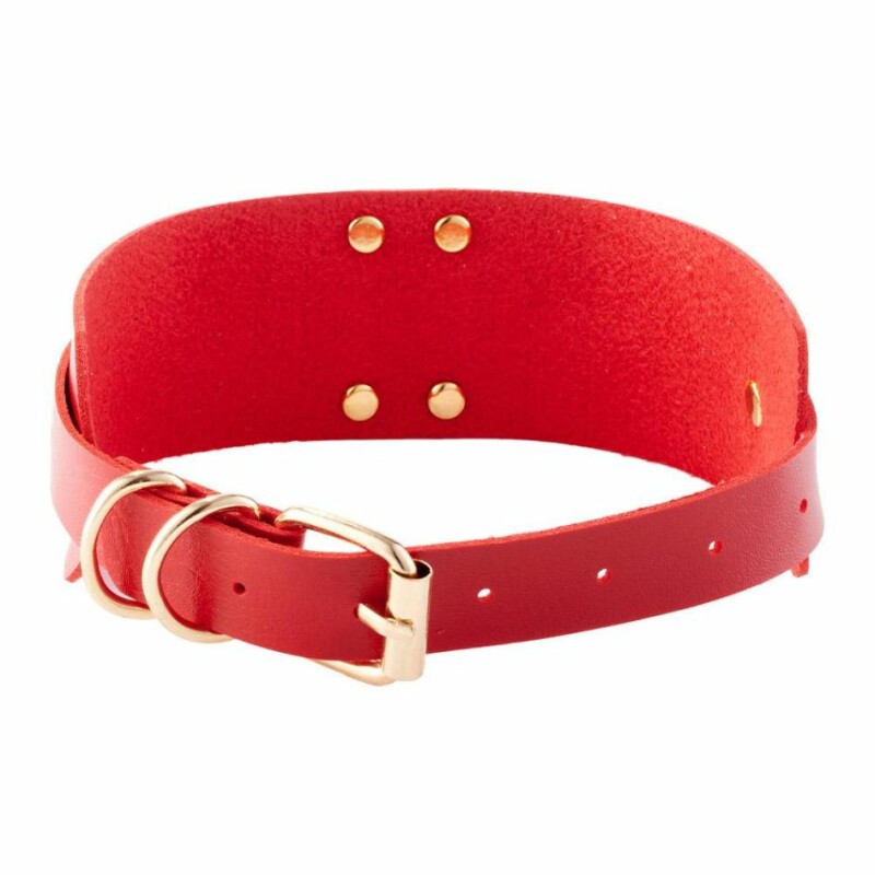 Нашийник з кільцем Kinky Diva O-Ring Collar Red/Gold червоний з золотими деталями - Изображение 2