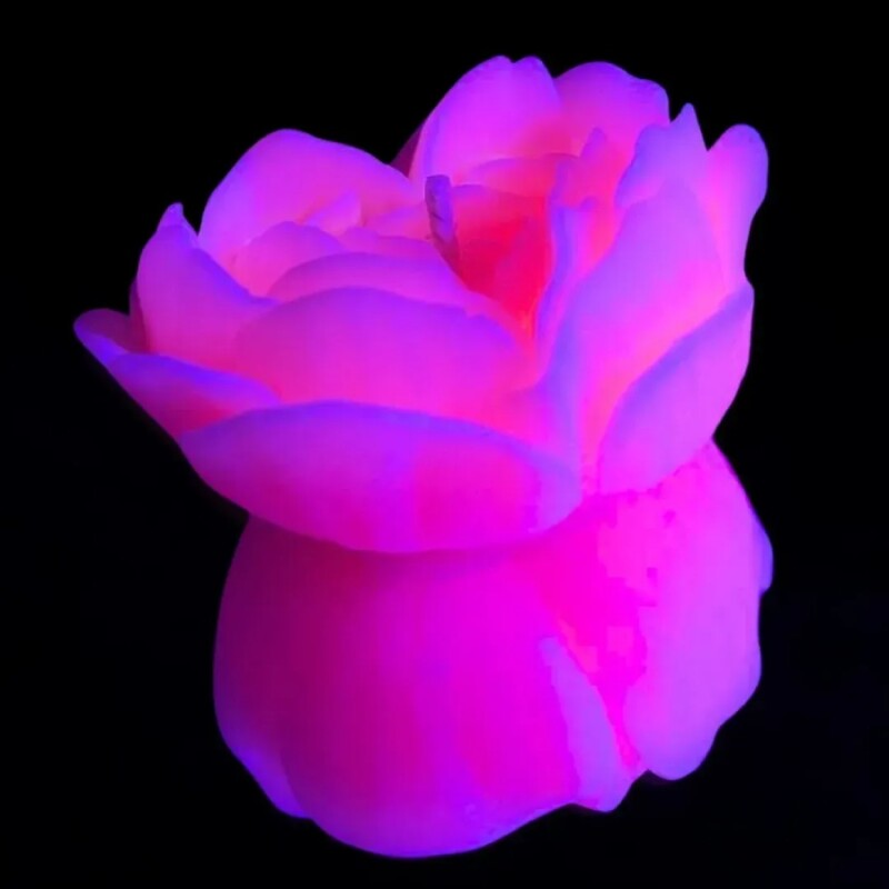 Свічка троянда люмінісцентна GlowKink 62 г, низькотемпературна, L, для БДСМ, рожева - Изображение 3