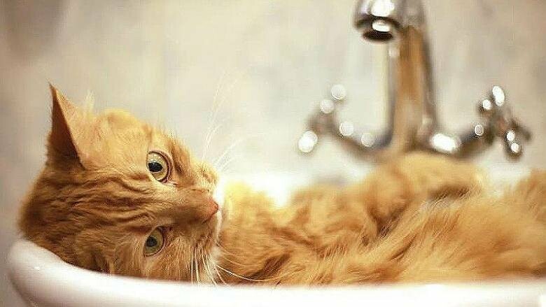 Отключение воды киев