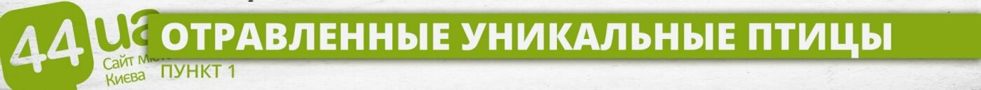 Люди как звери: резонансные убийства животных в Киеве, о ко..., фото-1 Люди как звери: резонансные убийства животных в Киеве, о которых говорили все, фото-1