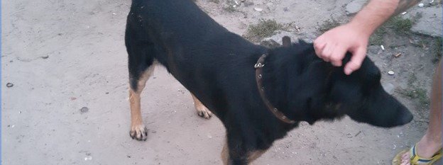 Бюро находок 44.ua: что сегодня теряли киевляне, - ФОТО, фото-4 Бюро находок 44.ua: что сегодня теряли киевляне, - ФОТО, фото-4