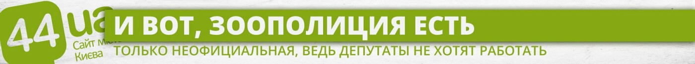 Нужна зоополиция: как Киев готовился и не приготовился к но..., фото-4 Нужна зоополиция: как Киев готовился и не приготовился к новой службе, фото-4