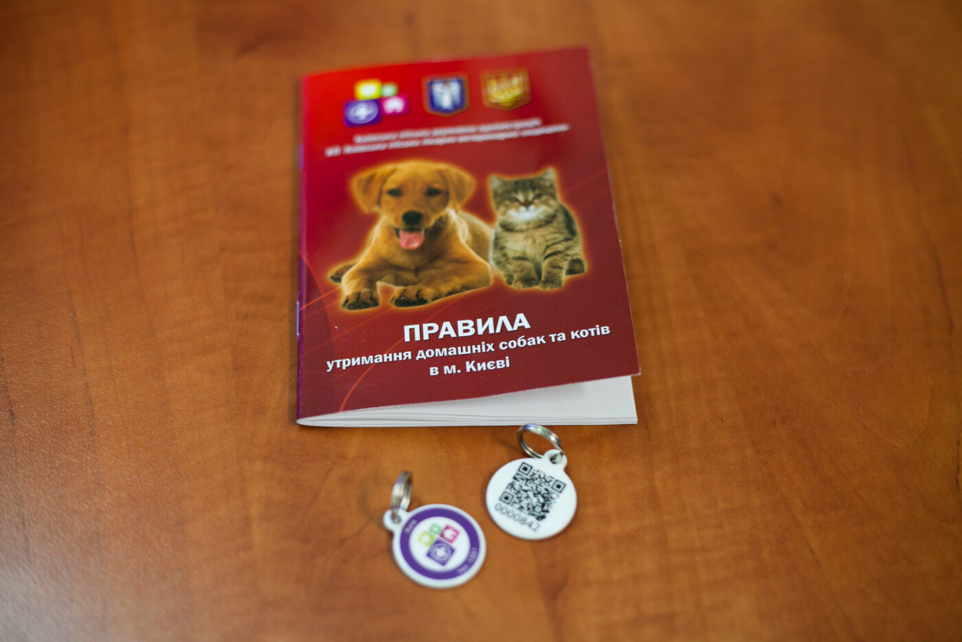 Не теряй кота: в Киеве представили систему регистрации дома..., фото-3 Не теряй кота: в Киеве представили систему регистрации домашних и бездомных животных, фото-3