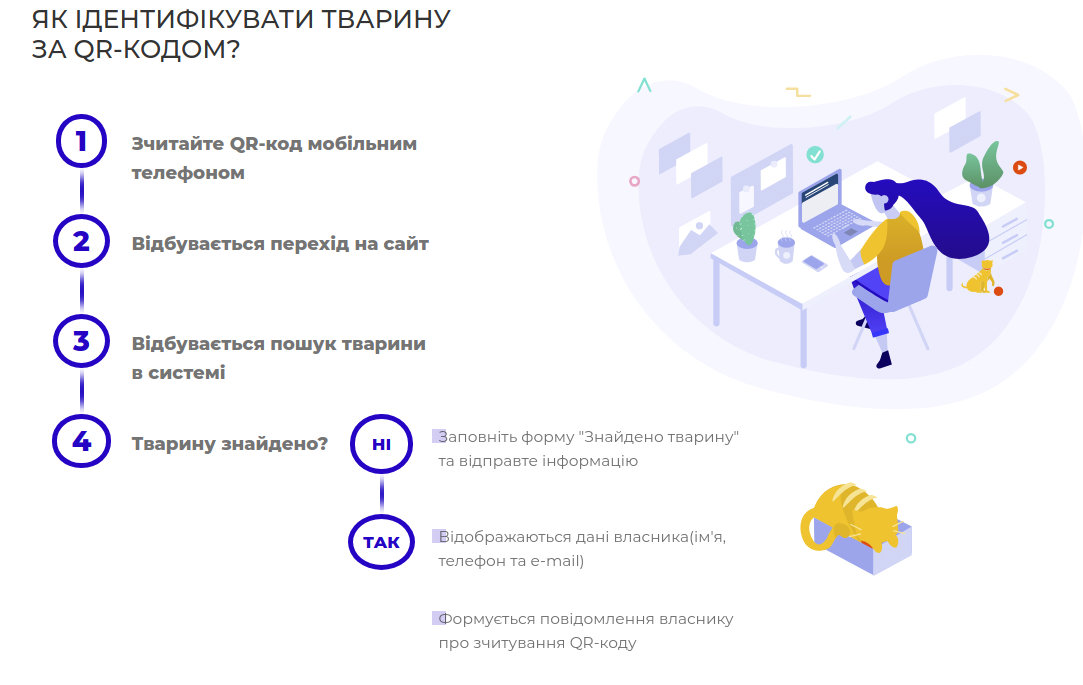 Не теряй кота: в Киеве представили систему регистрации дома..., фото-2 Не теряй кота: в Киеве представили систему регистрации домашних и бездомных животных, фото-2