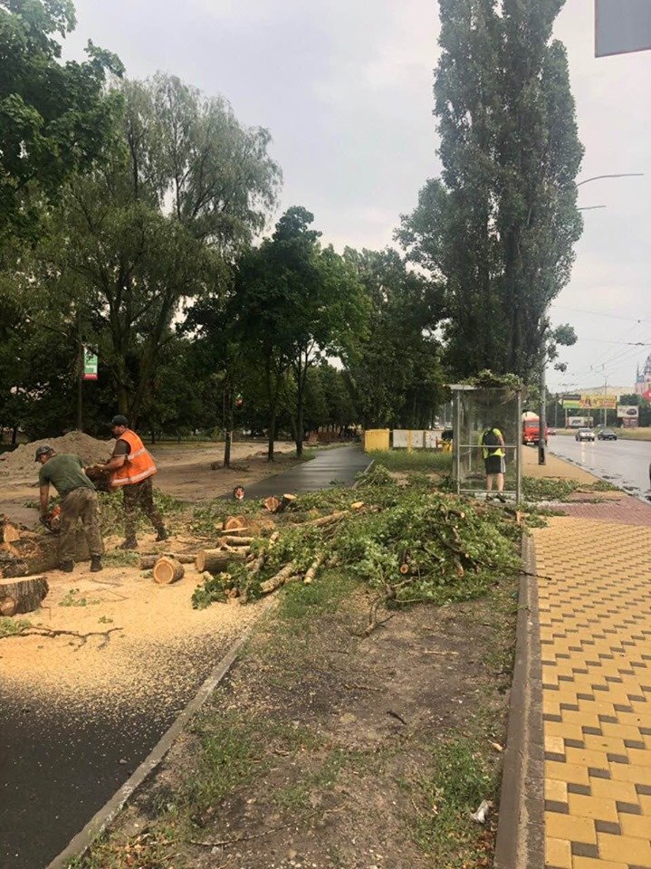 В Сети показали последствия урагана в Киеве. Фото