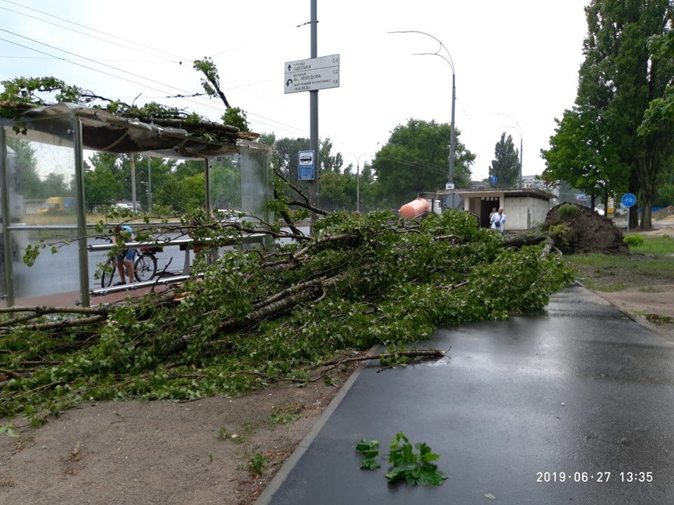 В Сети показали последствия урагана в Киеве. Фото